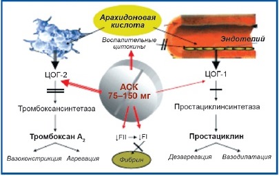 ацетилсалициловая кислота механизм действия