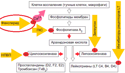 фенспирид механизм действия